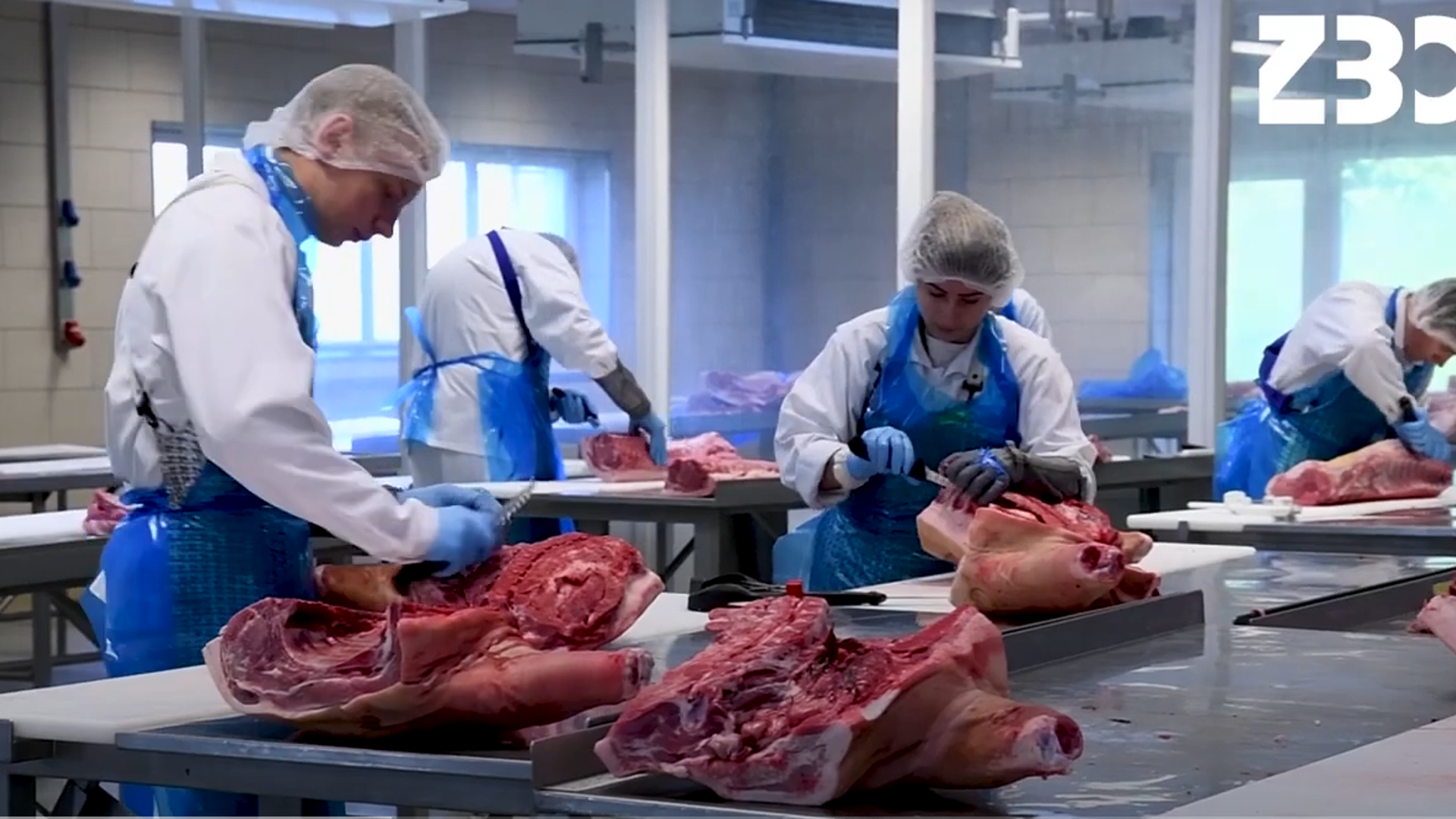 Training and education for the meat industry at ZBC