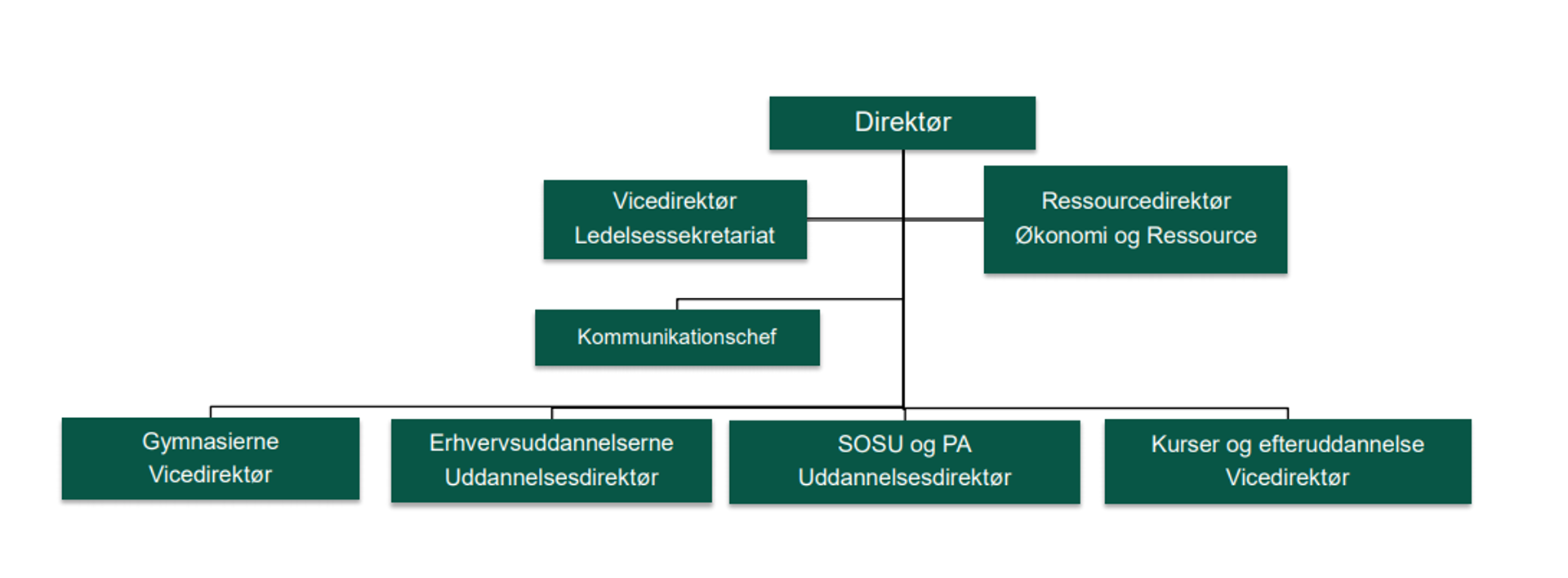 Overordnet organisering på ZBC: Direktør, herunder vicedirektør, ressourcedirektør og kommunikationschef samt områderne Gymnasier, Erhvervsuddannelser, SOSU og PA samt Kurser og efteruddannelse.